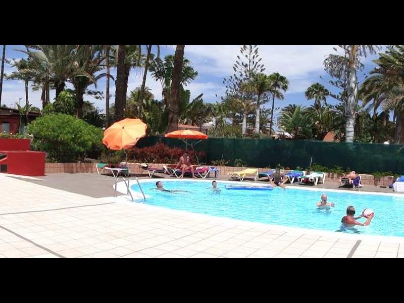 Buitenzwembad met parasols, ligbedden, palmbomen en mensen die genieten van een zonnige dag.