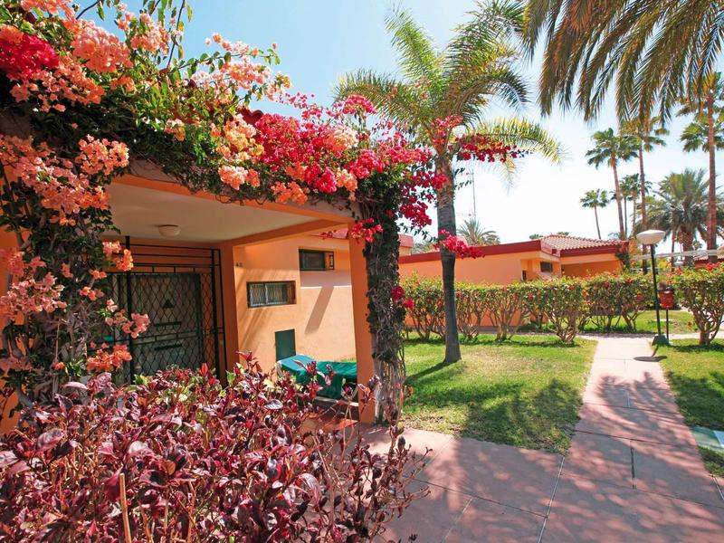 Buitenterras met bloemen, palmbomen, groen gazon en betegeld pad bij zonnig weer.