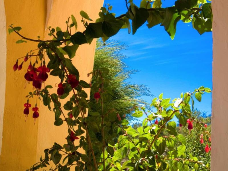 Gelber Bogen mit grünen Pflanzen und roten Blüten vor strahlend blauem Himmel.