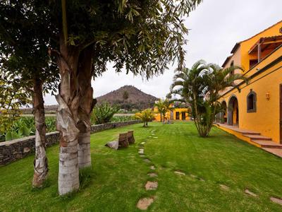 Jardin vert avec des palmiers et un arbre à côté d'une maison jaune avec une montagne en arrière-plan