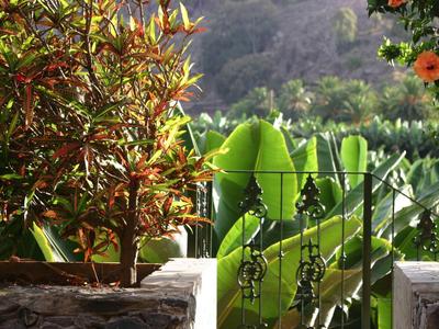 Vue à travers une grille en fer sur des plantes tropicales et des arbres dans le jardin.