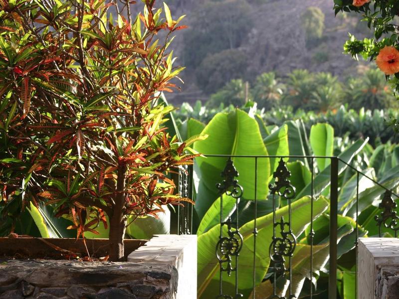 Veduta da una terrazza con muro di pietra su piante verdi illuminate dal sole e colline sullo sfondo.