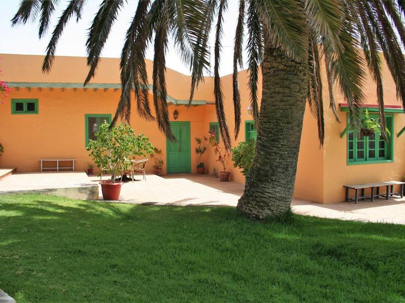 Geel huis met groene ramen en deuren omgeven door palmbomen en gras.