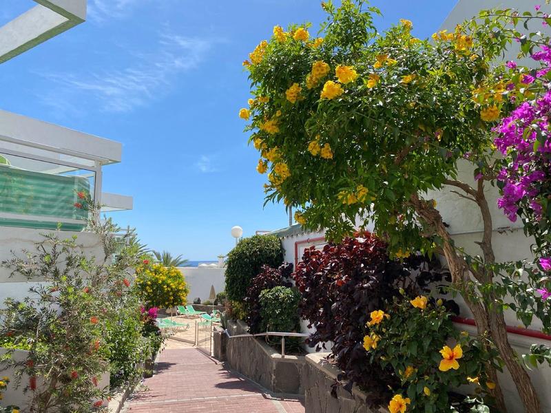 Garden with colorful flowers beside modern building under blue sky and sea view.