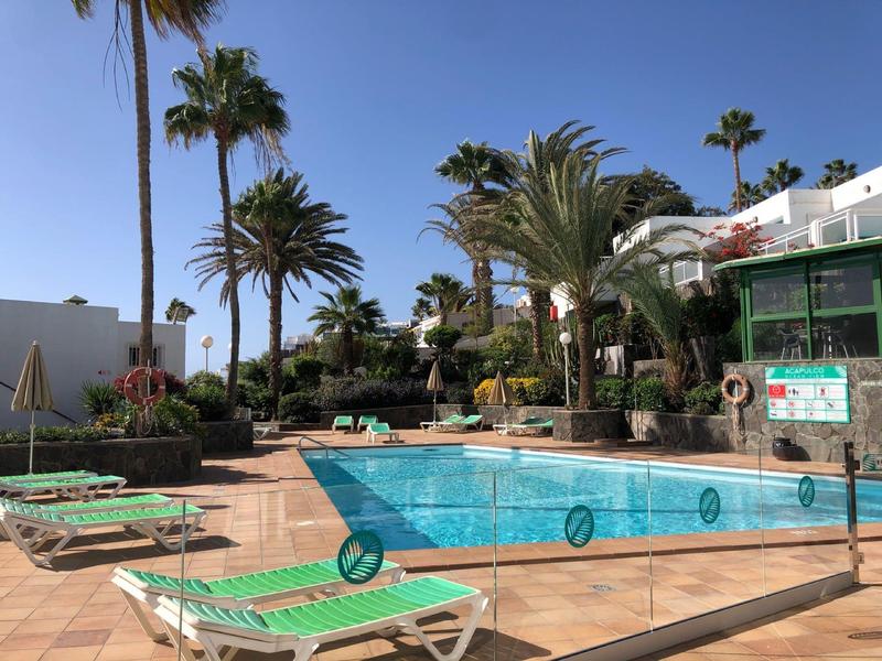 Hotel pool with green loungers and palm trees under a clear blue sky.