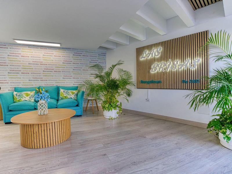 Hall d'hôtel lumineux avec canapé bleu, table ronde en bois et plantes en pots blancs.
