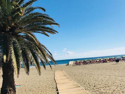Ein Holzsteg führt über einen Sandstrand mit Palmen zum Meer unter klarem Himmel.