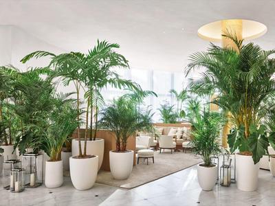 Moderner Raum mit großen grünen Pflanzen in weißen Töpfen, hellen Möbeln und viel natürlichem Licht.