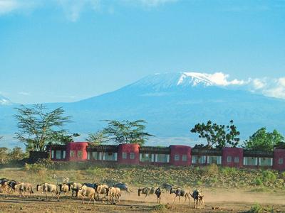 Train de wagons rouges devant une montagne enneigée et un troupeau d'animaux dans un paysage de savane.