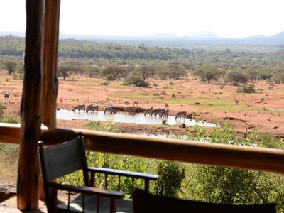 Vue depuis une véranda avec chaise sur un point d'eau avec des animaux dans un paysage sec.