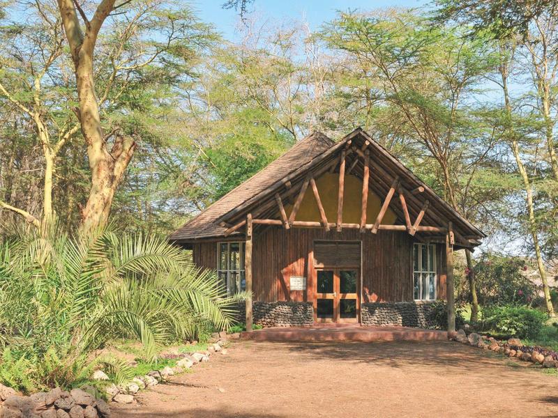 Maison en bois rustique avec toit de chaume entourée d'arbres et de plantes par une journée ensoleillée.
