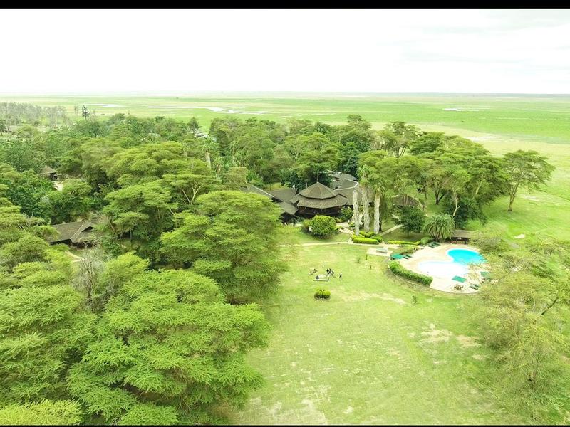 Vue aérienne d'un complexe avec piscine entouré d'arbres près d'une plage.