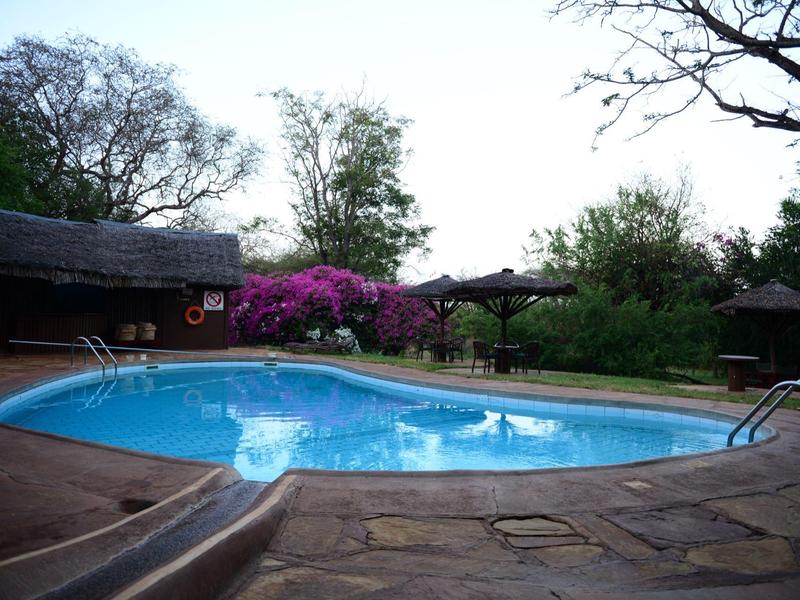 Piscine dans un jardin avec des arbres et des fleurs.