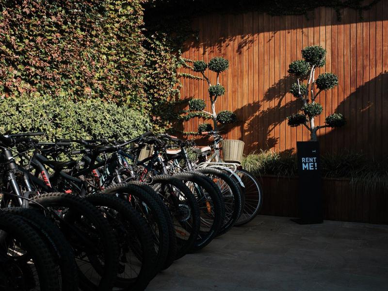 Meerdere fietsen netjes geparkeerd in een overdekte fietsenstalling naast een houten wand.