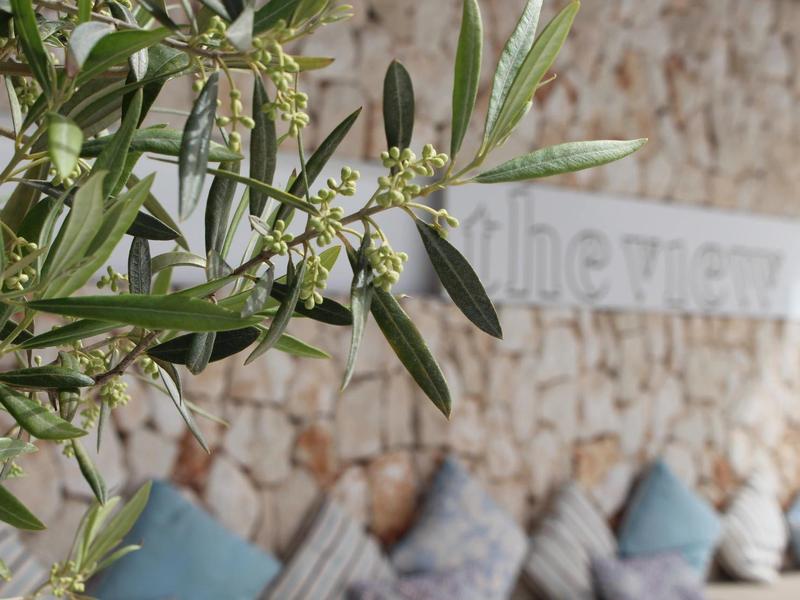 Close-up of olive branch with blurred stone wall and cushions in the background indicating a cozy hotel lounge.