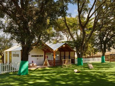 Kinderspeelplaats met speelhuis, schommels en klimrek onder grote bomen