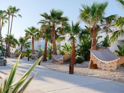 Jardín del hotel con palmeras y hamacas en área de grava bajo el sol.