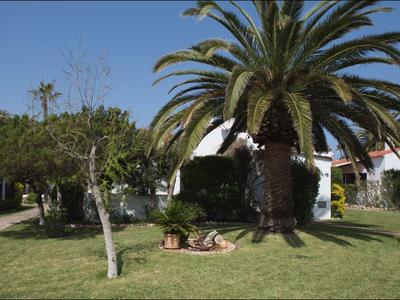 Garten mit Palmen, grünem Rasen und weißen Gebäuden im Hintergrund unter blauem Himmel.