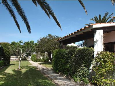 Camino entre villas con arbustos verdes y palmeras bajo el sol.