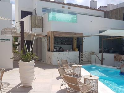 Outdoor pool area with lounge chairs, large plant, and umbrellas at a modern hotel.