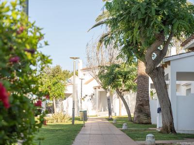 Sentiero lastricato tra edifici bianchi con alberi e prato verde alla luce del sole.