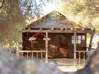 Casetta rustica in legno con veranda, circondata da alberi, in un ambiente soleggiato.