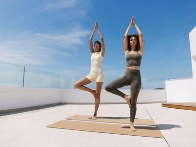 Deux femmes pratiquent la posture de l'arbre en yoga sur un toit ensoleillé avec un ciel clair.