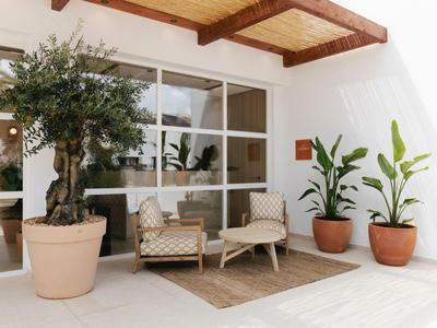 Terrasse lumineuse avec grandes plantes et deux fauteuils rembourrés sous une pergola en bois.