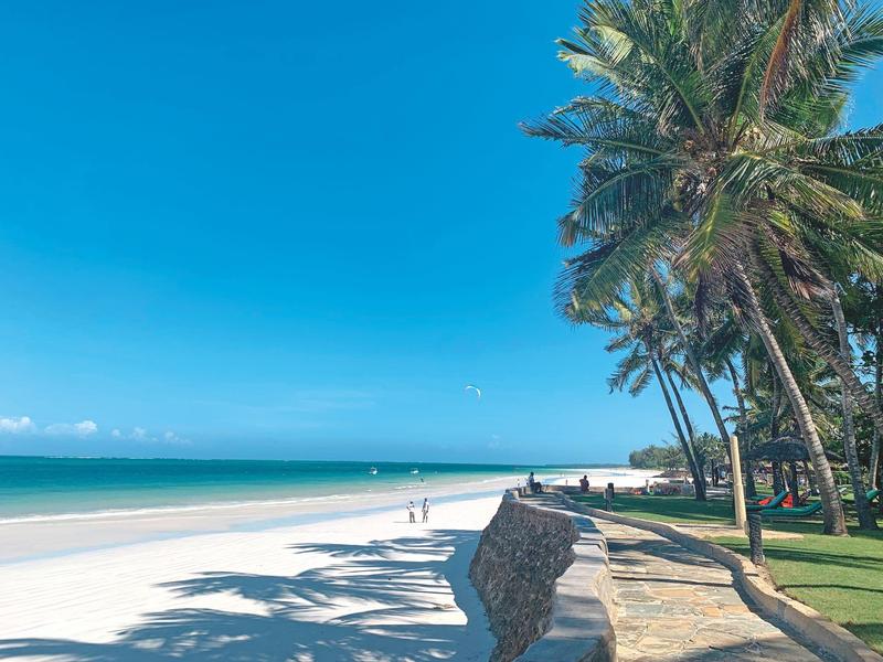 Ein ruhiger Sandstrand mit Palmen unter klarem blauem Himmel und wenigen Menschen.