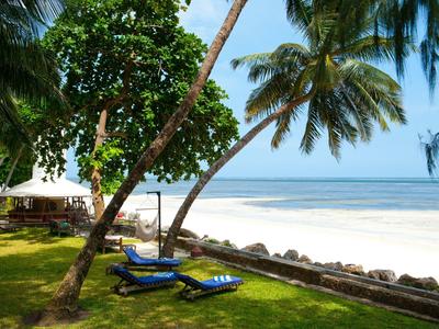 Palmiers et chaises longues sur une pelouse verte avec vue sur une plage tropicale et la mer.