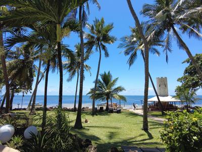 Tropischer Strand mit hohen Palmen, grünem Rasen und einem Wachturm am blauen Meer.