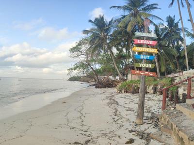 Ein tropischer Sandstrand mit Palmen, einem bunten Wegweiser und ruhigem Meer unter blauem Himmel.