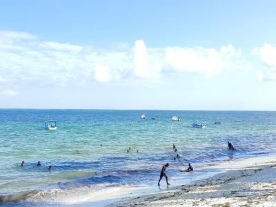 Plage avec des gens nageant et faisant du bateau, ciel bleu et palmiers sur le côté