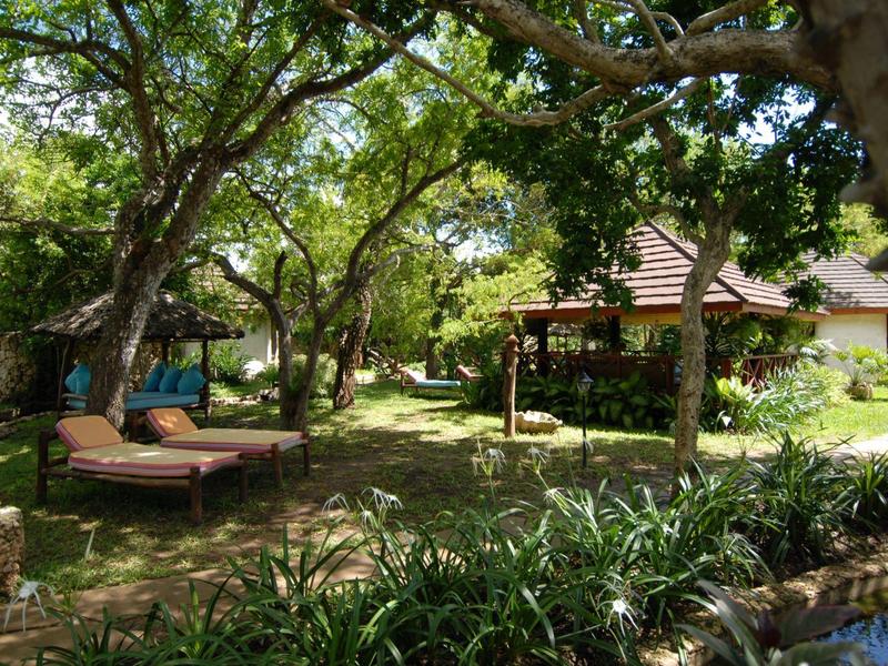 Zelená zahrada se dvěma lehátky a malým domem v pozadí.