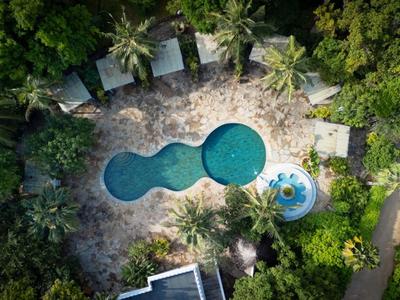 Luftaufnahme eines flaschenförmigen Pools umgeben von Bäumen und Liegestühlen.