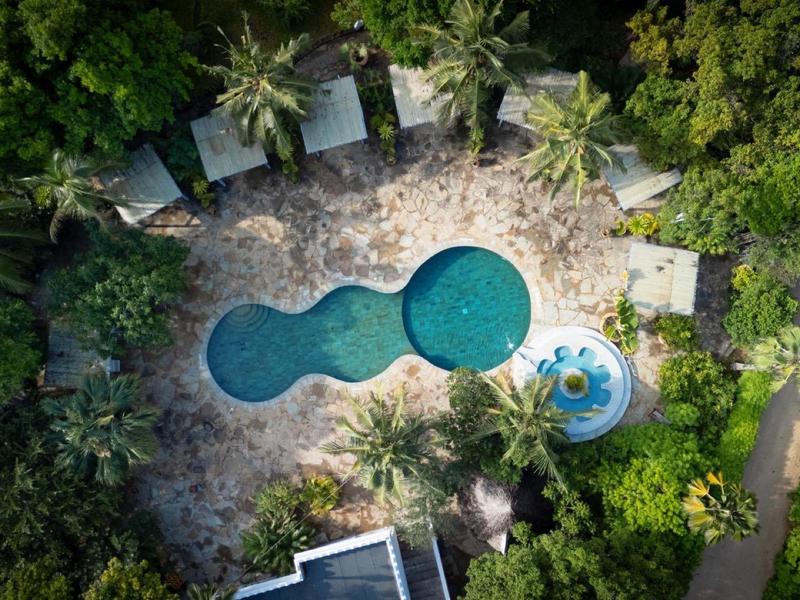 Piscine extérieure au design sinueux entourée de palmiers et d'un espace lounge.