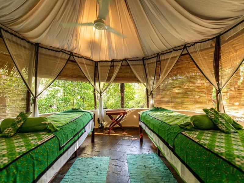 Deux lits verts dans une tente de luxe avec fenêtres et vue sur la nature.