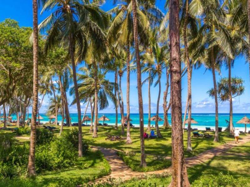 Sentiero sulla spiaggia con palme e vista sul mare blu sotto un cielo limpido.
