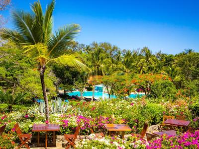 Bunte Gartenanlage mit Palmen und Pool im Hintergrund unter klarem blauem Himmel
