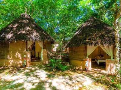 Two round, thatched huts in the forest with open doors and beds inside.