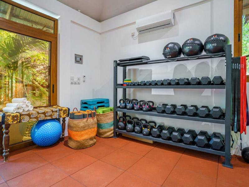 Brightly lit gym room with dumbbells, exercise balls, and windows showing green outdoor area.