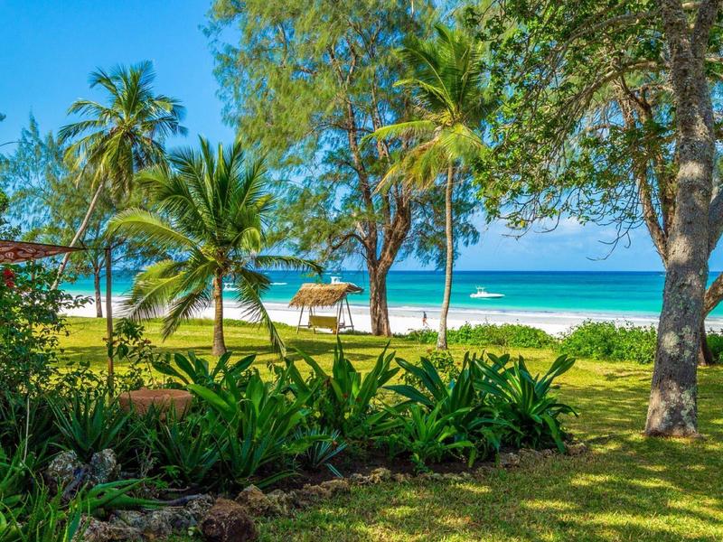 Tropical garden with palm trees, green plants, and a view of the sandy beach and sea.