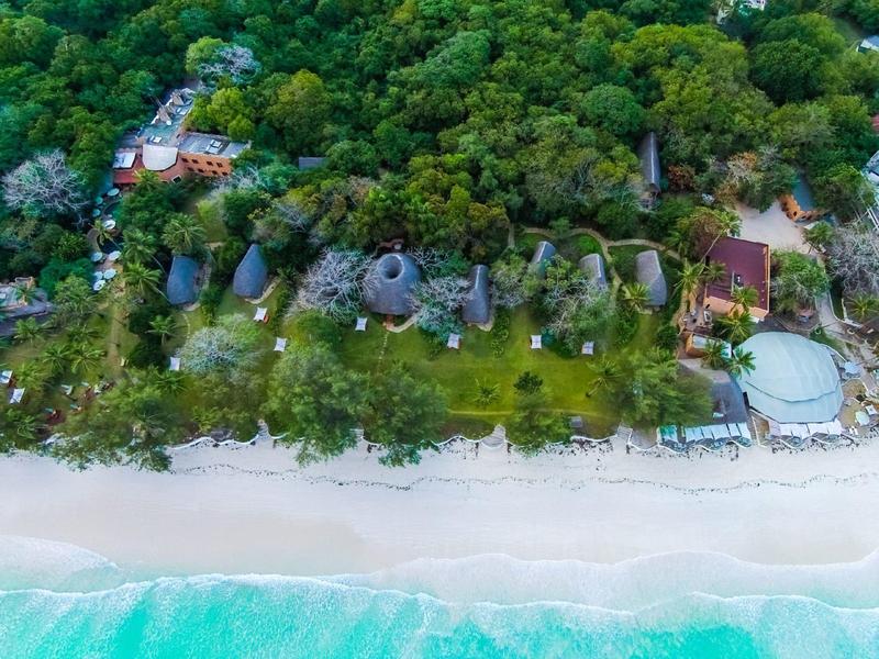 Aerial view of a white sandy beach with palm trees and huts in the jungle near the coast.