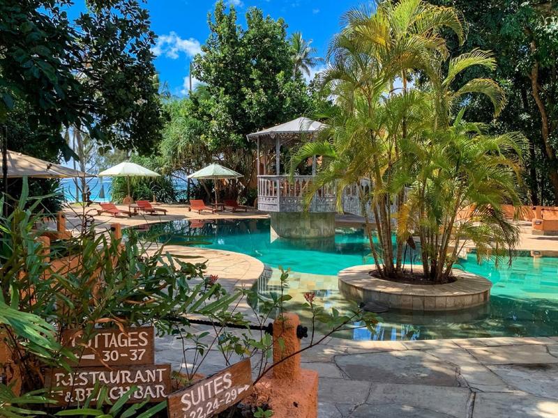 A tropical pool area with lounge chairs, umbrellas, and lush green vegetation.