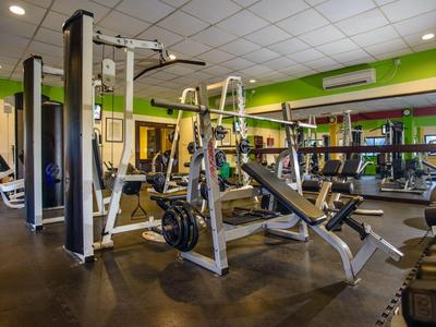 Une salle de sport moderne d'hôtel avec divers appareils de musculation et haltères.