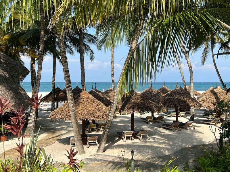 Spiaggia tropicale con palme, ombrelloni di paglia e sabbia, perfetta per le vacanze.