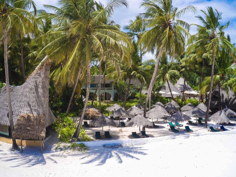 Spiaggia tropicale con palme, lettini e capanne di paglia sotto un cielo azzurro.