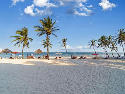 Ein heller Sandstrand mit Palmen und Liegestühlen unter blauem Himmel am Meer.