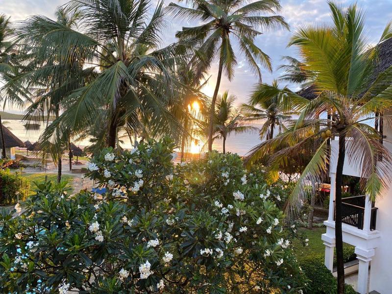 Bloeiende struiken voor palmbomen met zonsondergang aan het strand