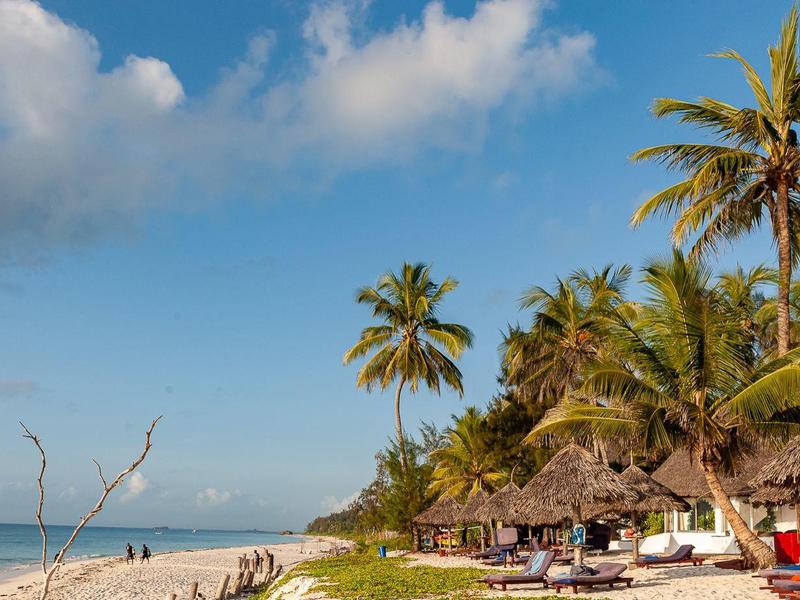 Strand met palmbomen, ligstoelen en parasols bij kalme zee onder blauwe lucht.